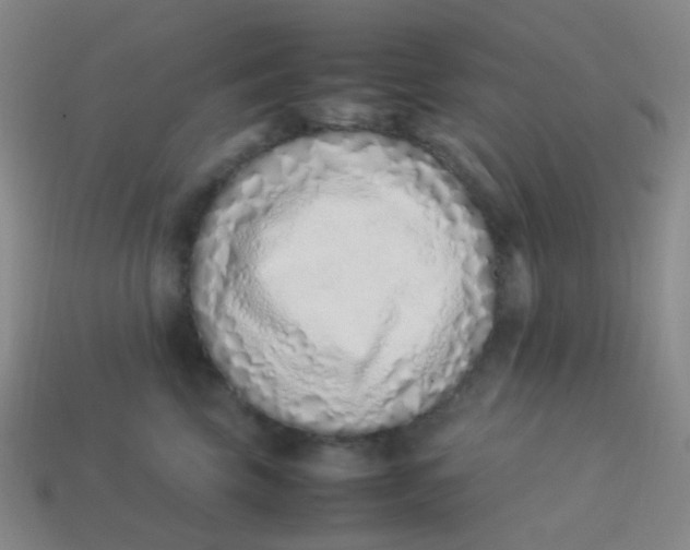 X0000113540569200910091245