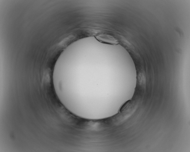 X0000113540570200910091245