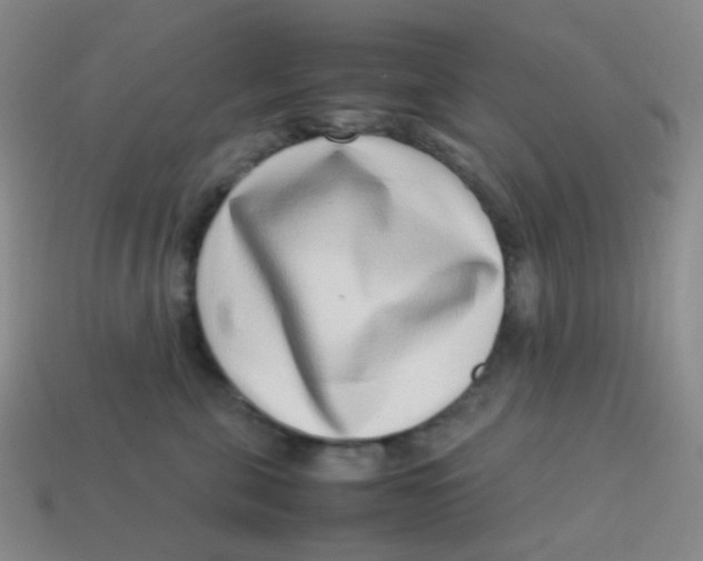 X0000113540571200910091245