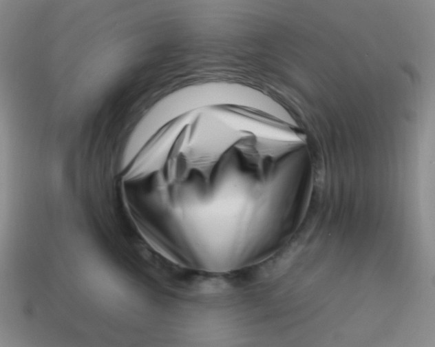 X0000113540572200910091245