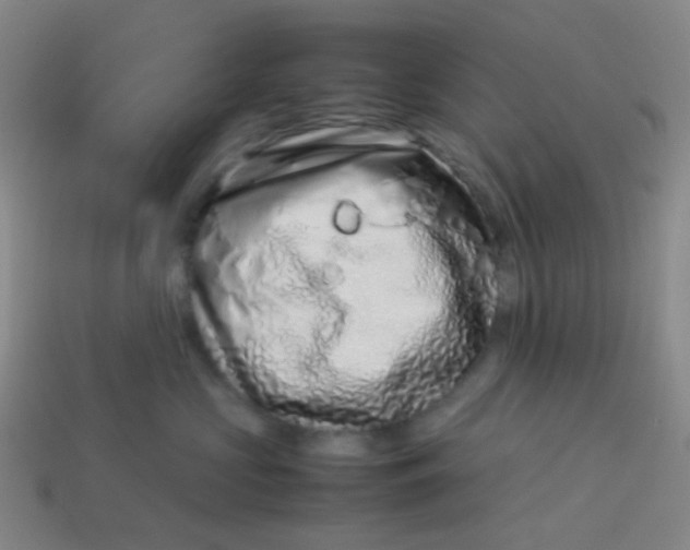 X0000113540573200910091245