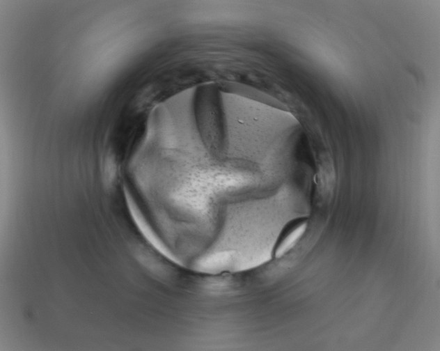 X0000113540574200910091245