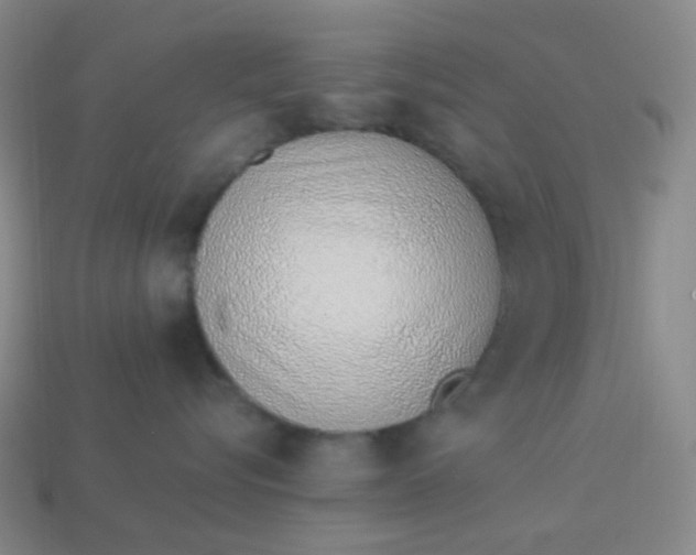 X0000113540576200910091245