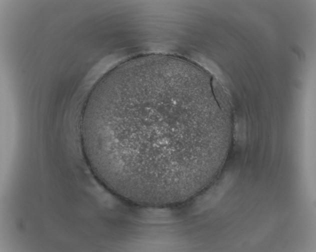 X0000113540577200910091245