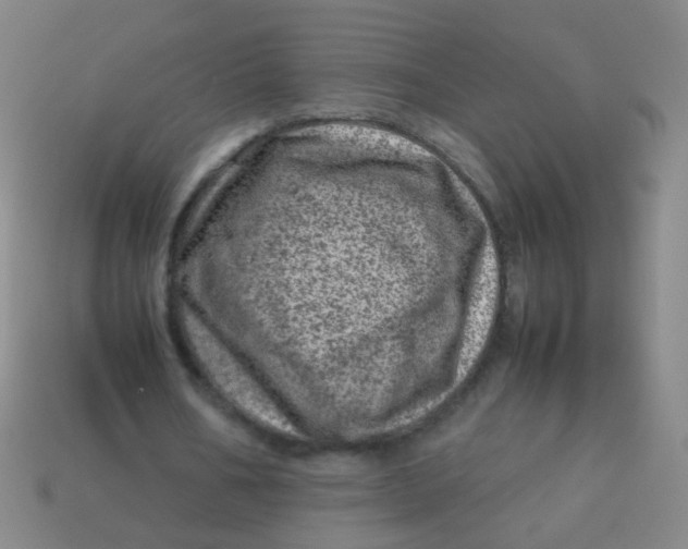 X0000113540578200910091245