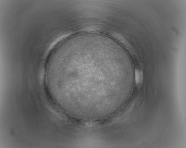 X0000113540579200910091245