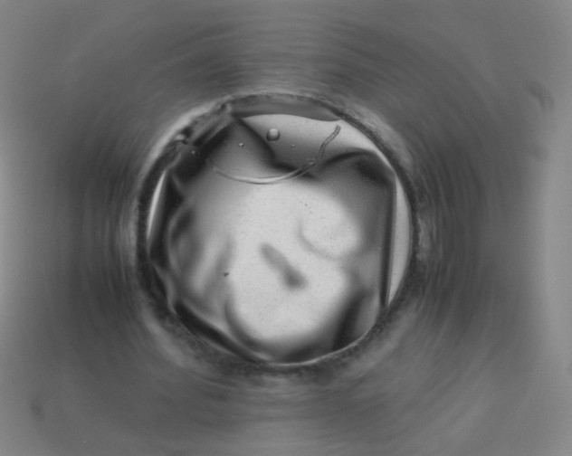 X0000113540580200910091245