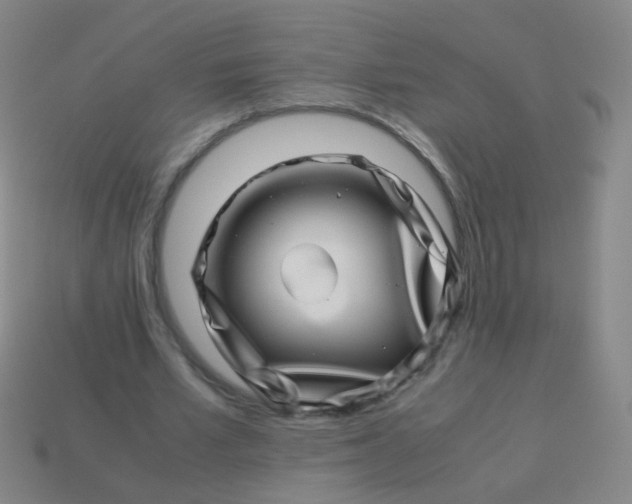 X0000113540581200910091245