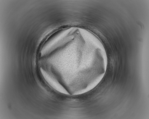 X0000113540582200910091245