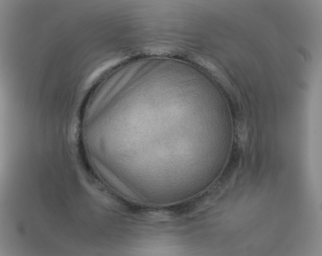 X0000113540583200910091245