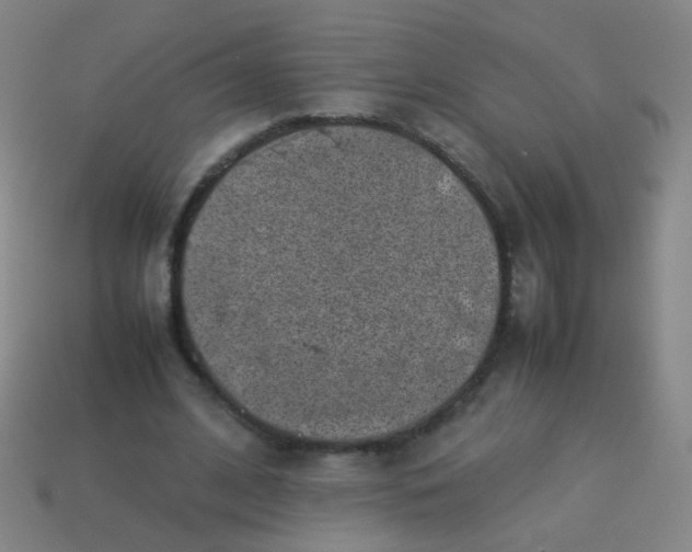 X0000113540584200910091245