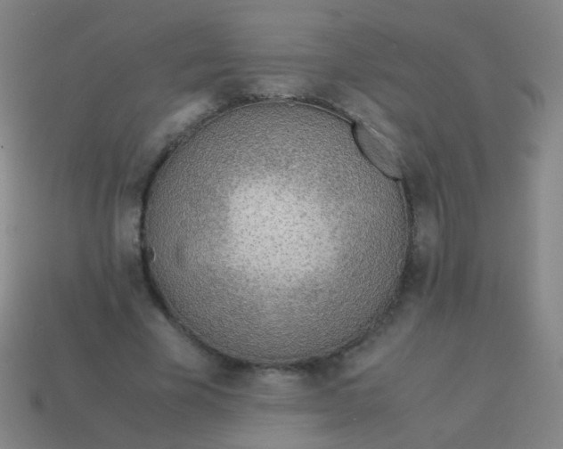 X0000113540585200910091245