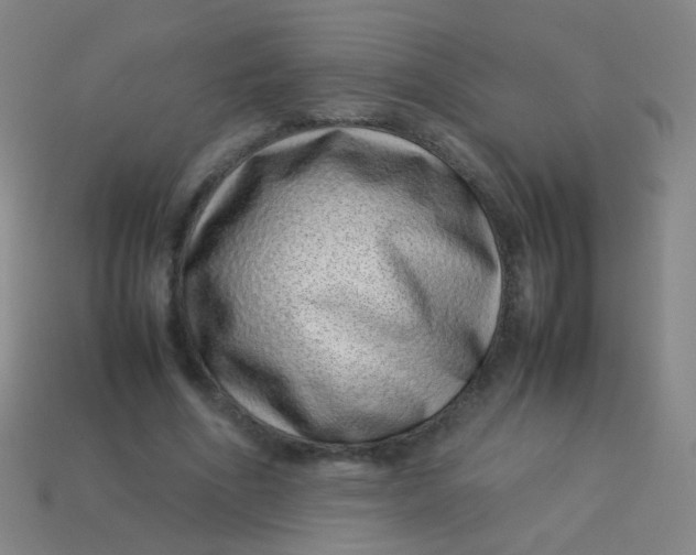 X0000113540586200910091245