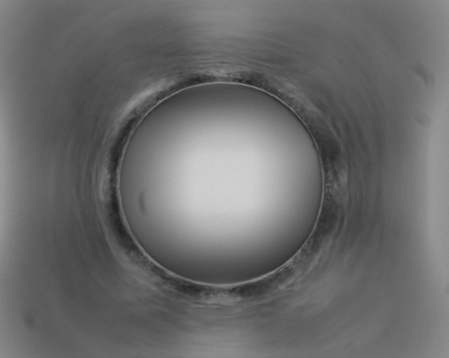 X0000113540587200910091245