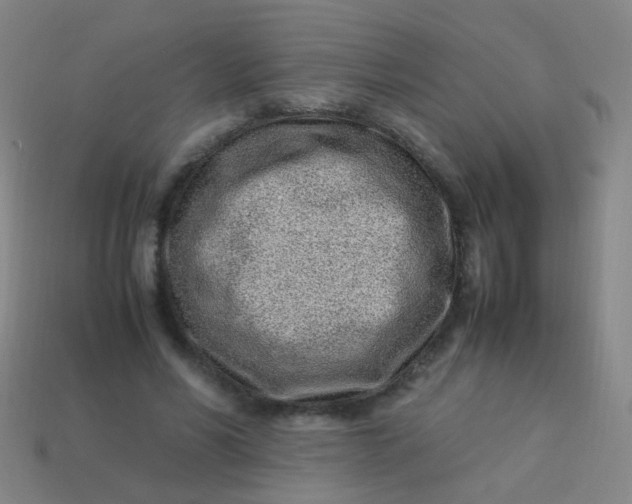 X0000113540590200910091245