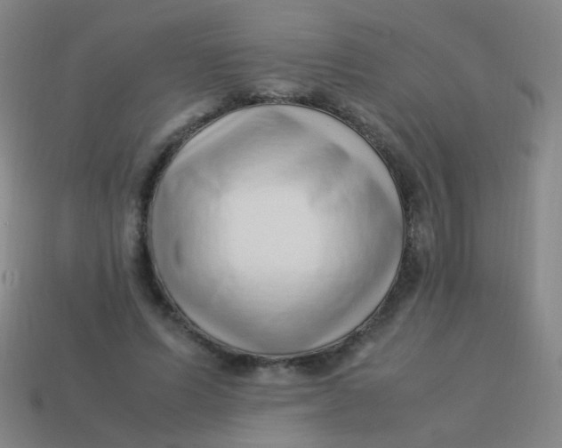 X0000113540591200910091245