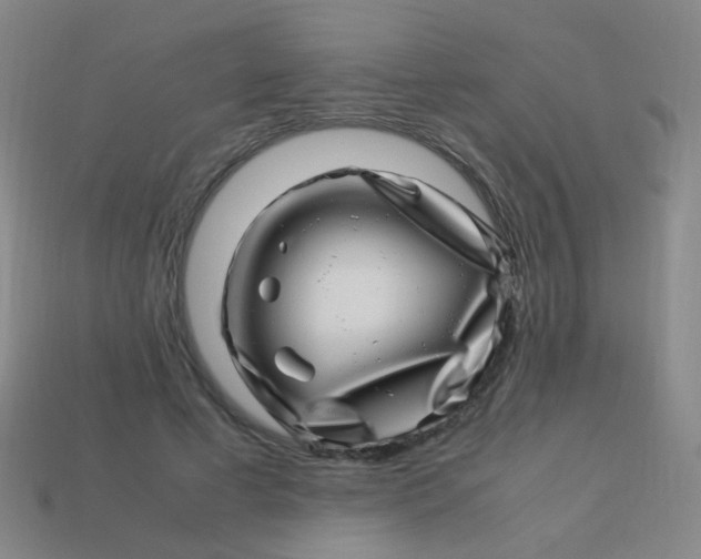 X0000113540593200910091245