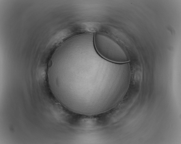 X0000113540595200910091245