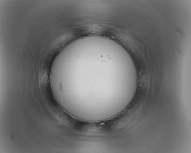 X0000113540597200910091245