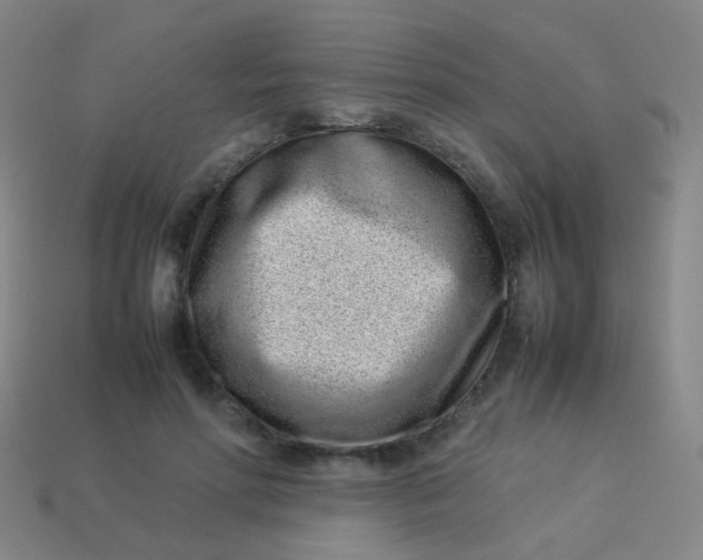 X0000113540598200910091245