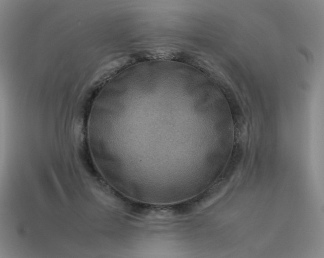 X0000113540599200910091245