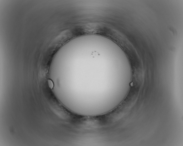 X0000113540601200910091245