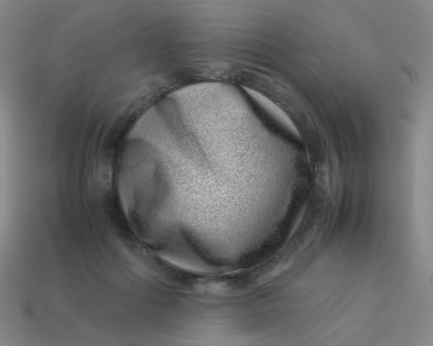 X0000113540602200910091245