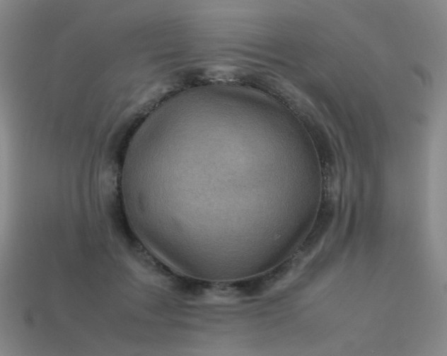 X0000113540603200910091245