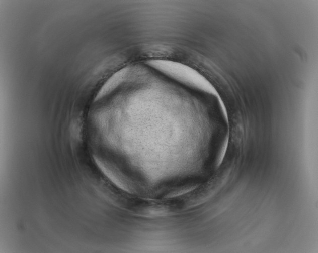 X0000113540604200910091245