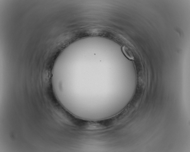 X0000113540605200910091245