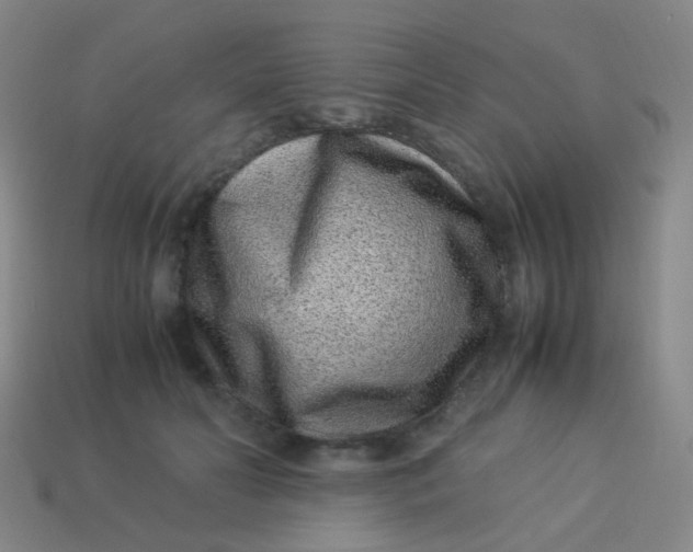 X0000113540606200910091245