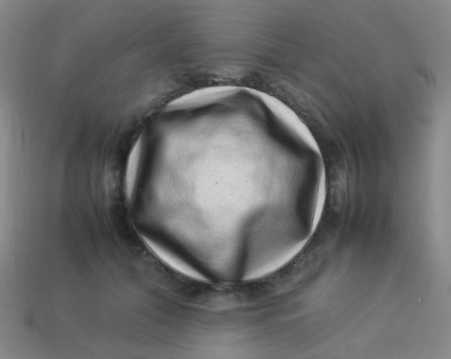 X0000113540608200910091244