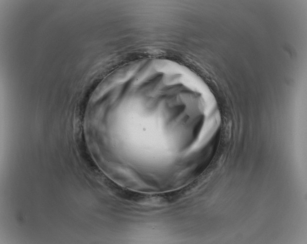 X0000113540609200910091244