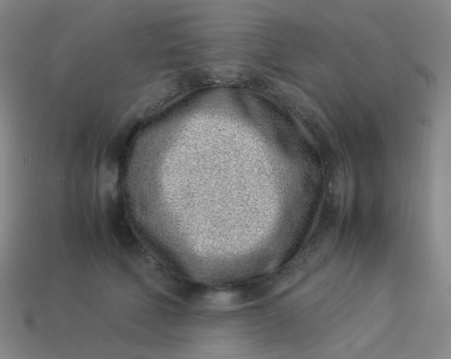 X0000113540610200910091244