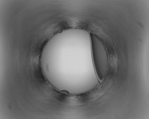 X0000113540611200910091244