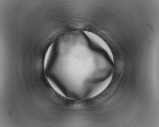 X0000113540612200910091244