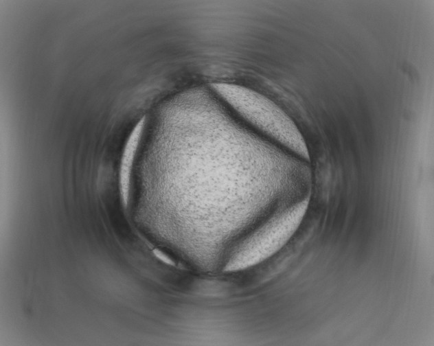 X0000113540614200910091244