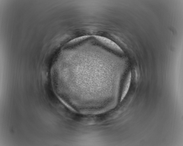 X0000113540615200910091244