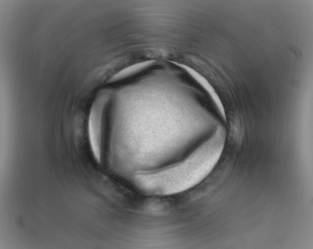 X0000113540616200910091244