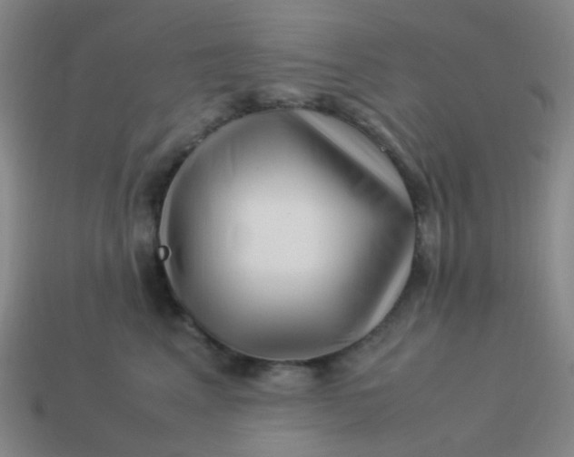 X0000113540617200910091244