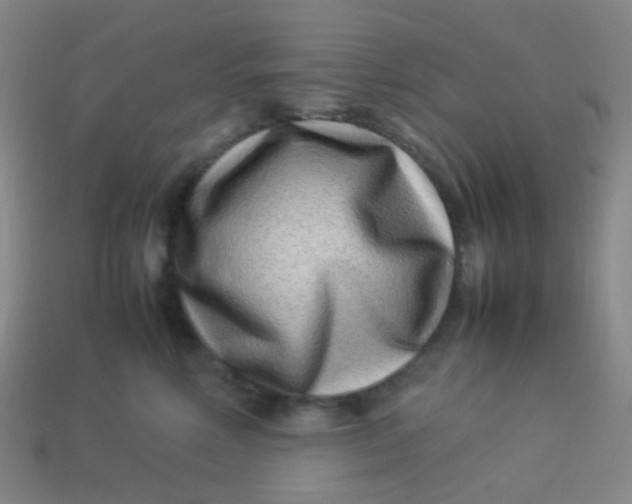 X0000113540618200910091244