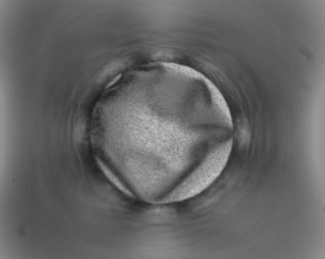 X0000113540619200910091244