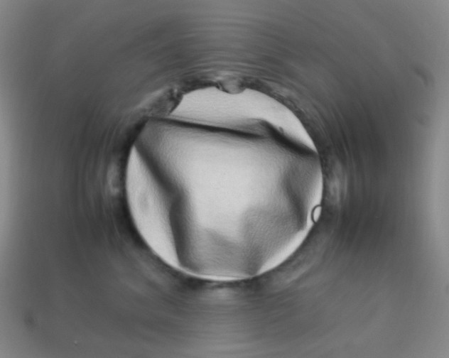 X0000113540620200910091244