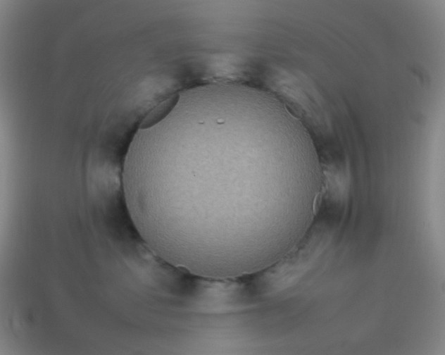 X0000113540621200910091244