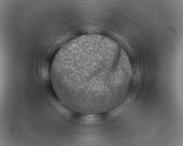 X0000113540622200910091244