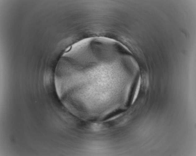 X0000113540623200910091244