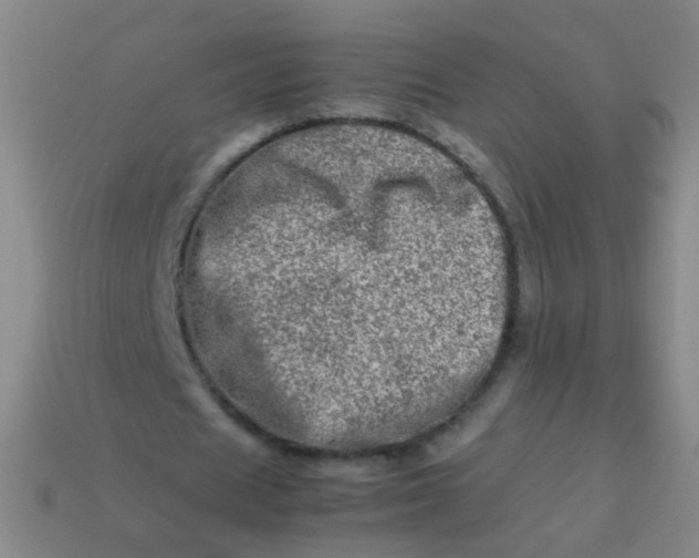 X0000113540625200910091244