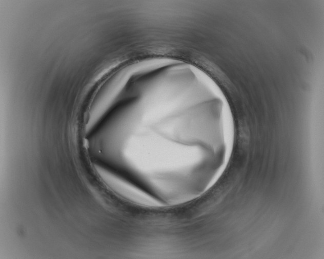 X0000113540626200910091244