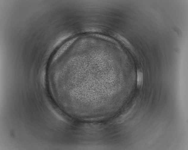 X0000113540627200910091244