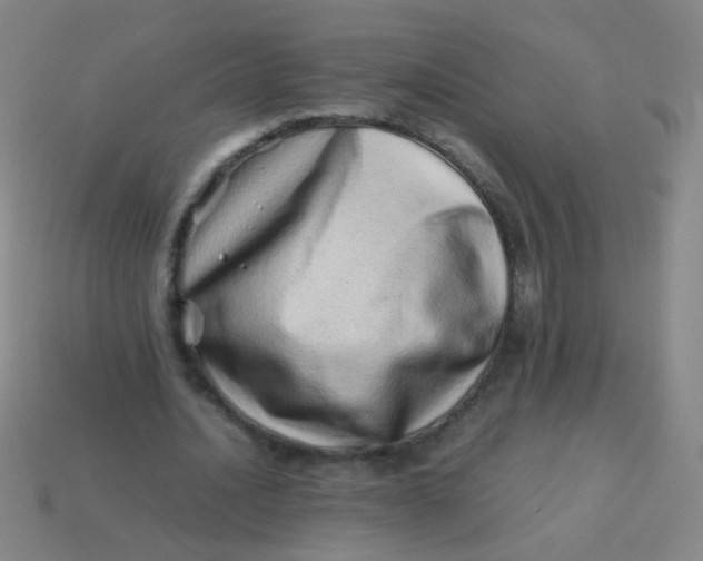 X0000113540628200910091244